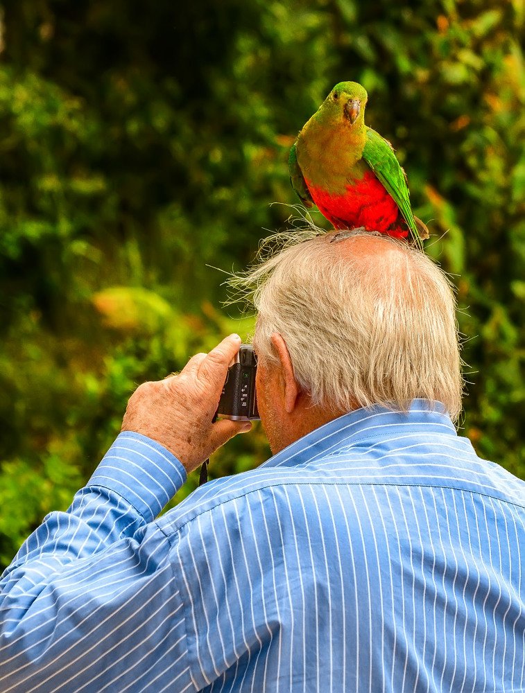 Устроился...