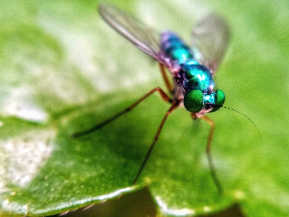 Photograph by Akash Raj