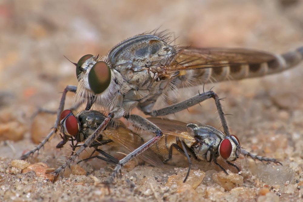 Photograph by Sumanta Dutta