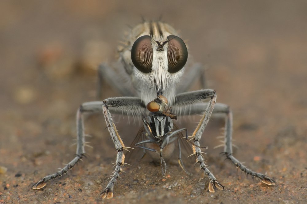 Photograph by Sumanta Dutta