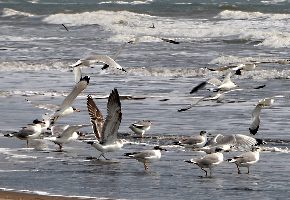 Фотография автора Mohana Murali Krishna Kavutharapu