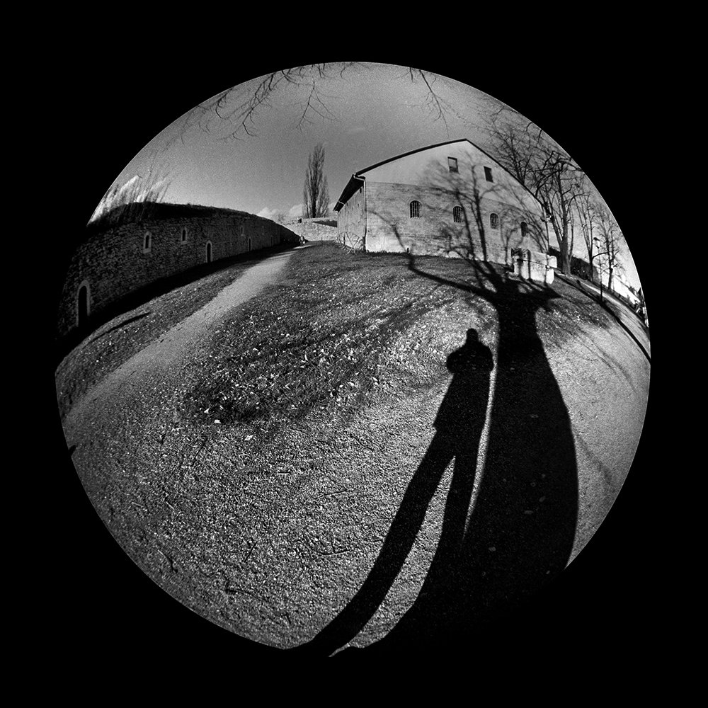 Photograph by Dragan Prole