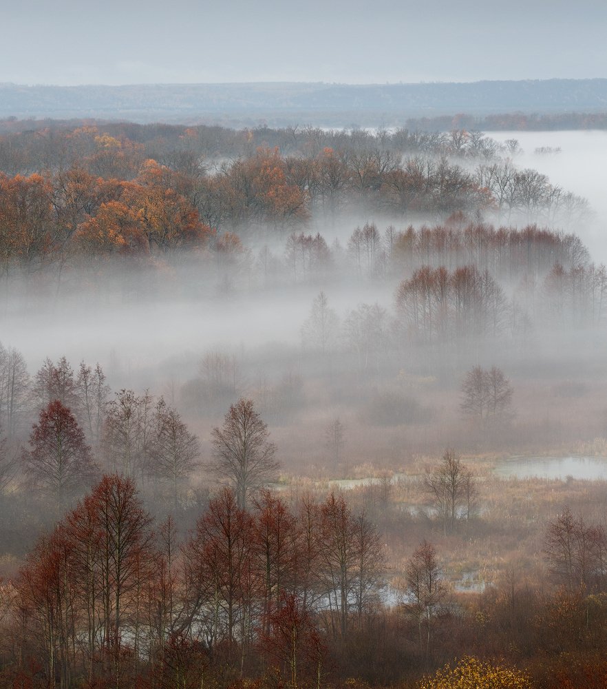 Photograph by Михаил Корнилов