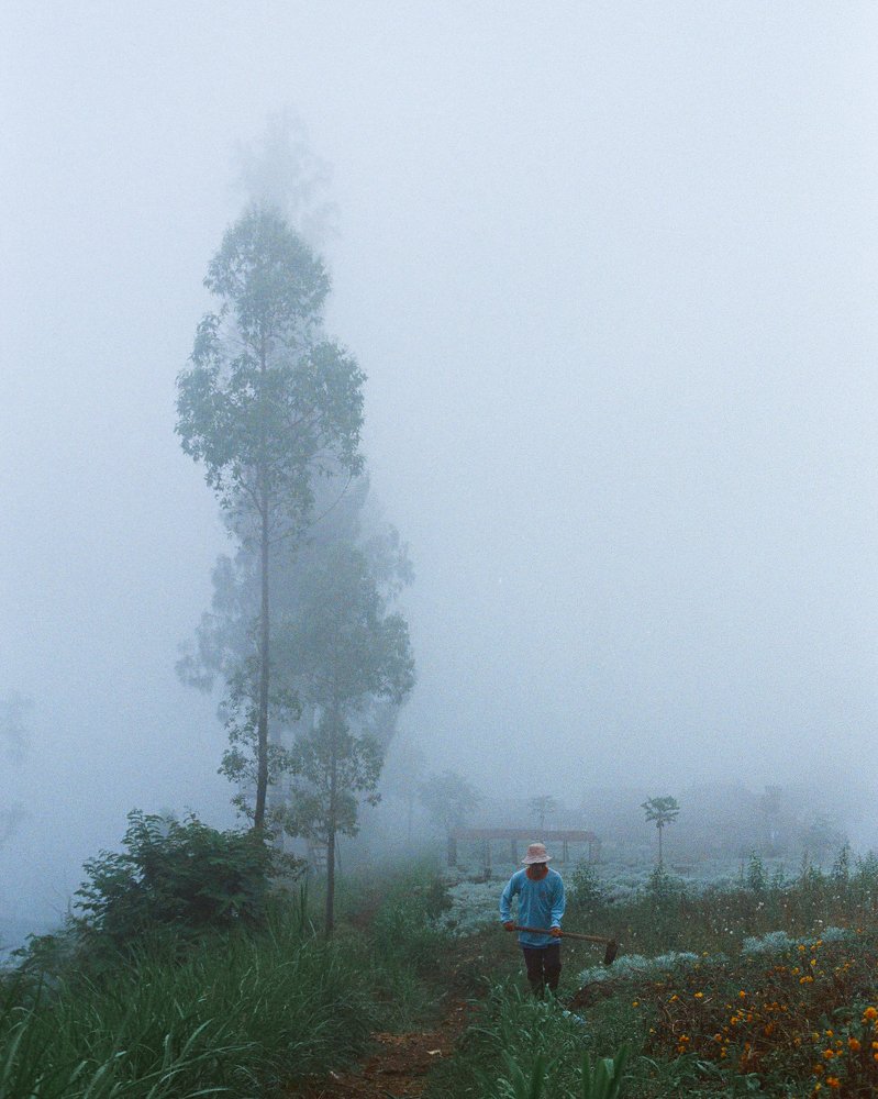 Photograph by Denis Bondarev