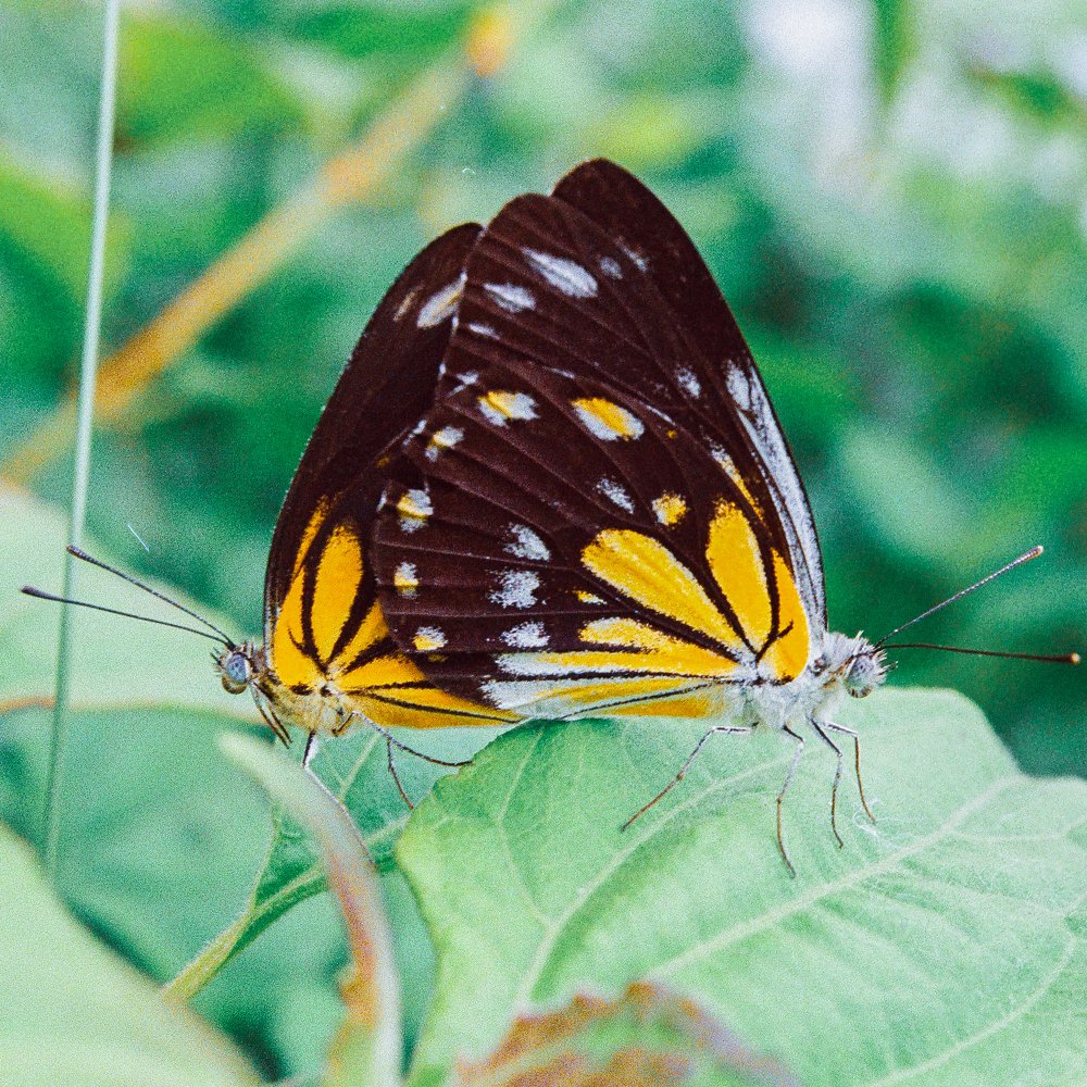 Photograph by Denis Bondarev