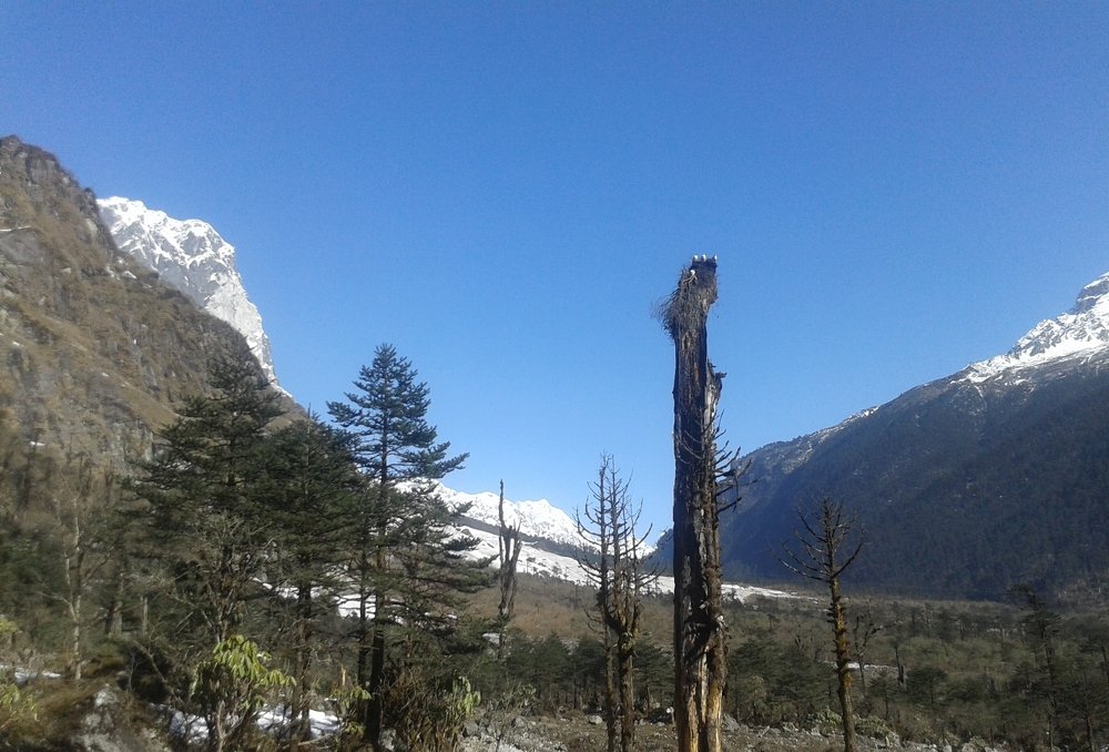 The beauty of Lachung