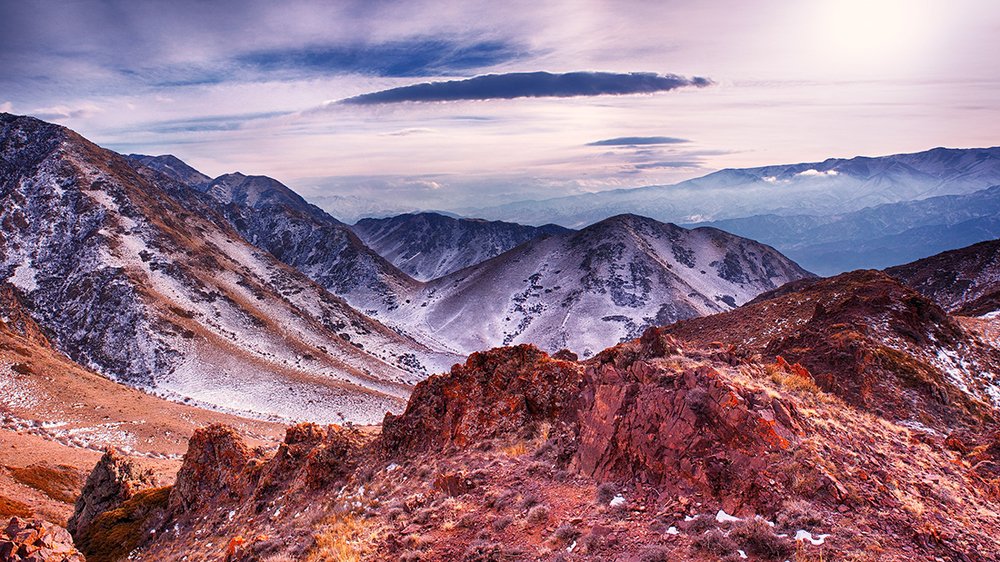 Сказки Боома