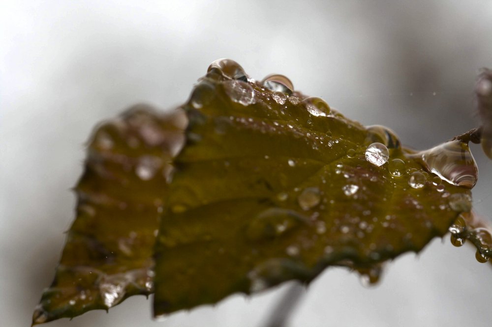 Photograph by Ela Opatowiecka