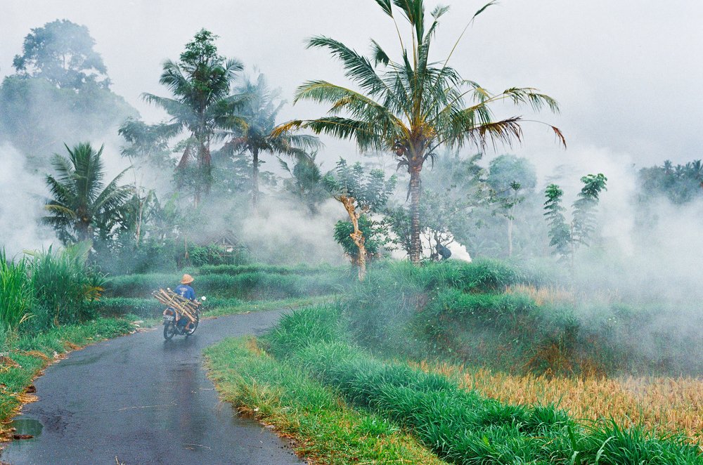 Photograph by Denis Bondarev