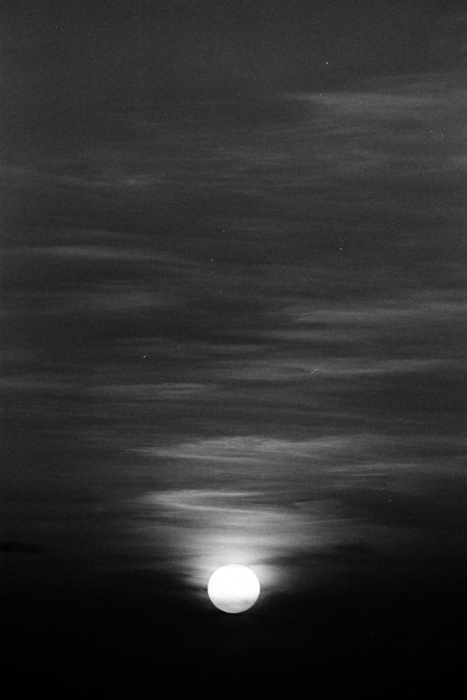 Photograph by Denis Bondarev