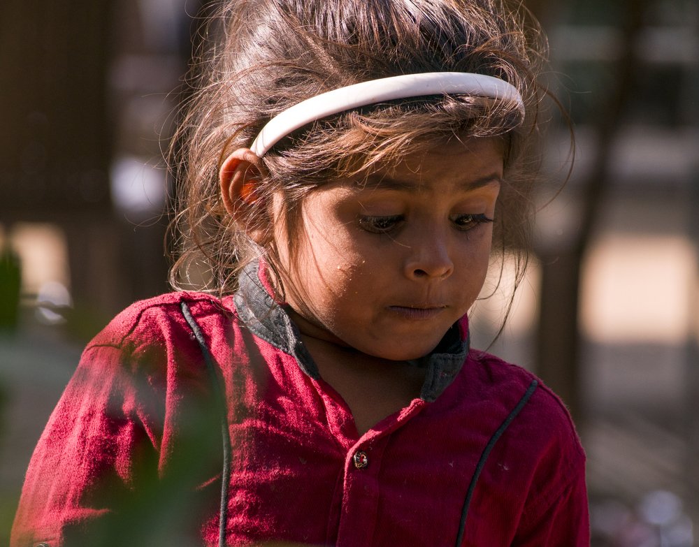 Photograph by animesh sen sarma