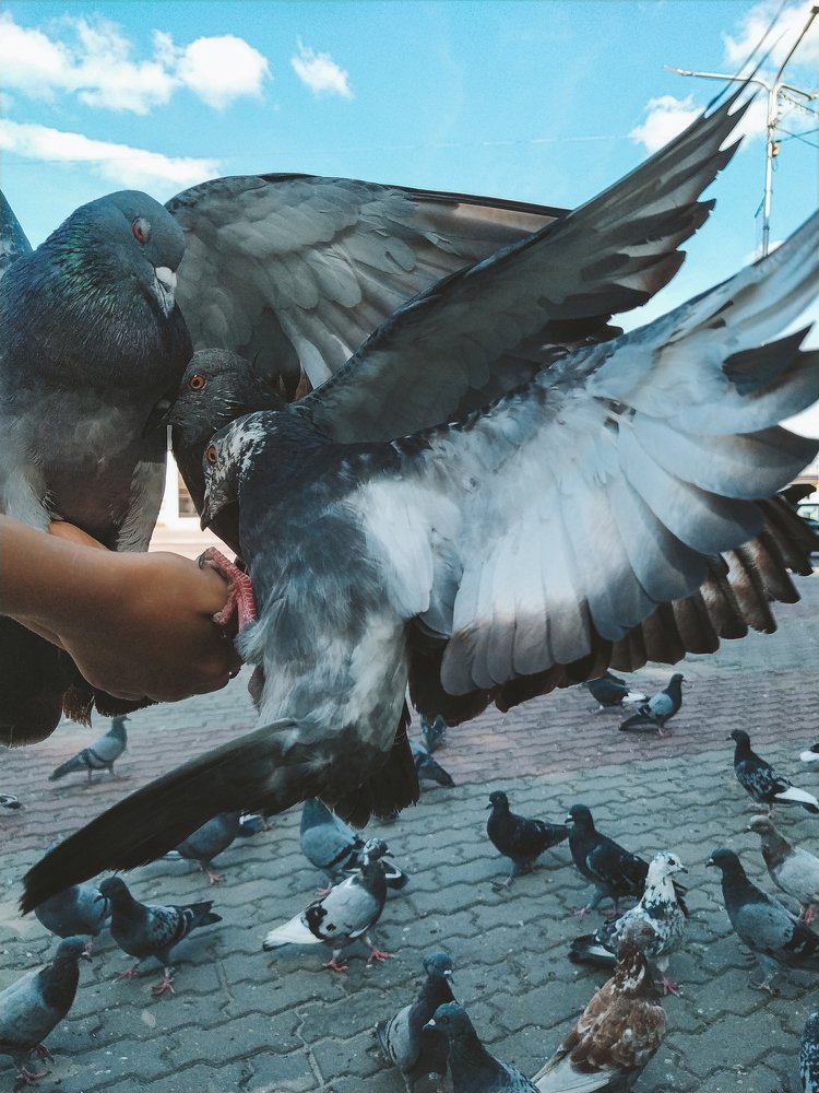 Photograph by Mikalai Stralchuk