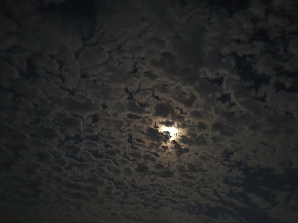 Photograph by Krishna Kunwar