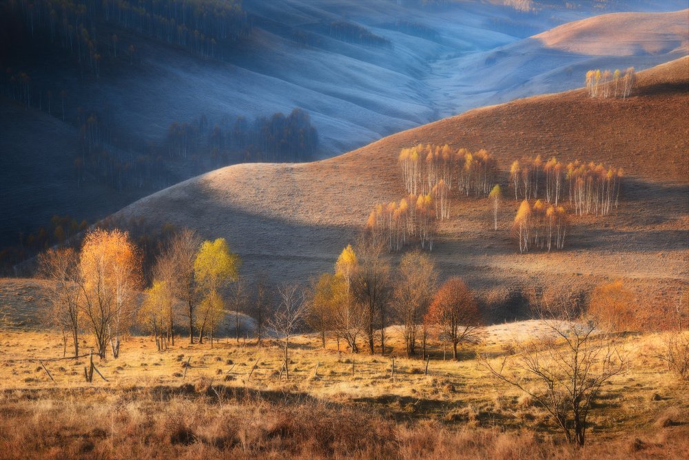 Фотография автора Анатолий Гордиенко