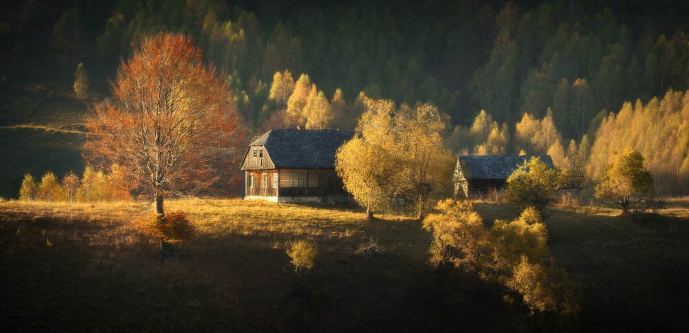 Фотография автора Анатолий Гордиенко