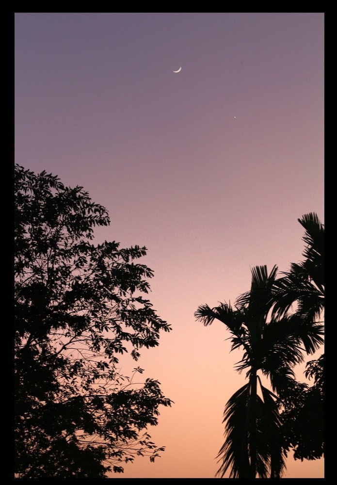 Photograph by Shahrukh Rahman