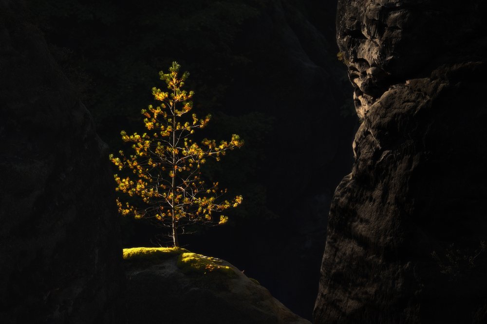 Фотография автора Анатолий Гордиенко