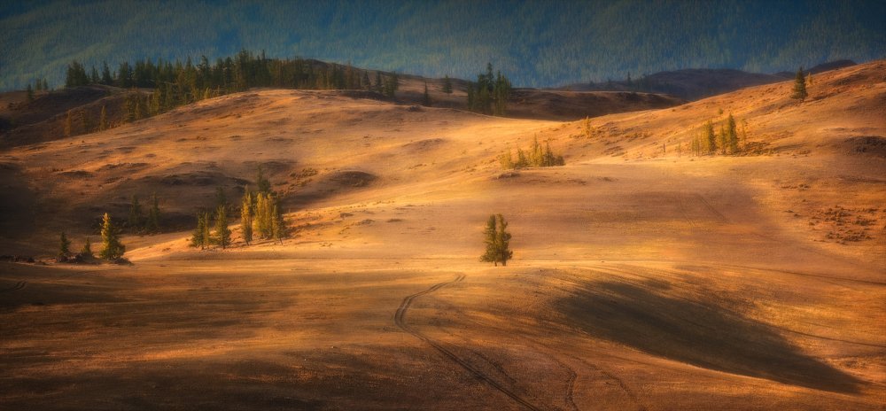Фотография автора Анатолий Гордиенко