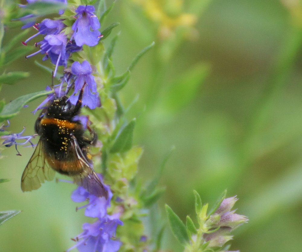 Photograph by Евгения Малафеева