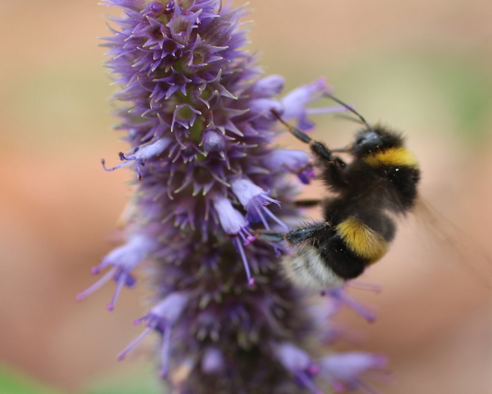 Photograph by Евгения Малафеева