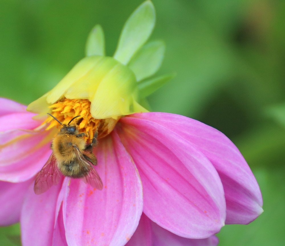 Photograph by Евгения Малафеева