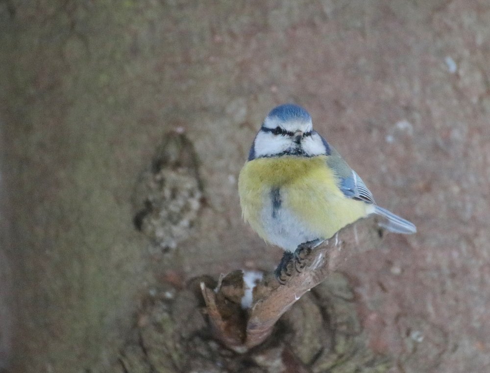 Photograph by Евгения Малафеева