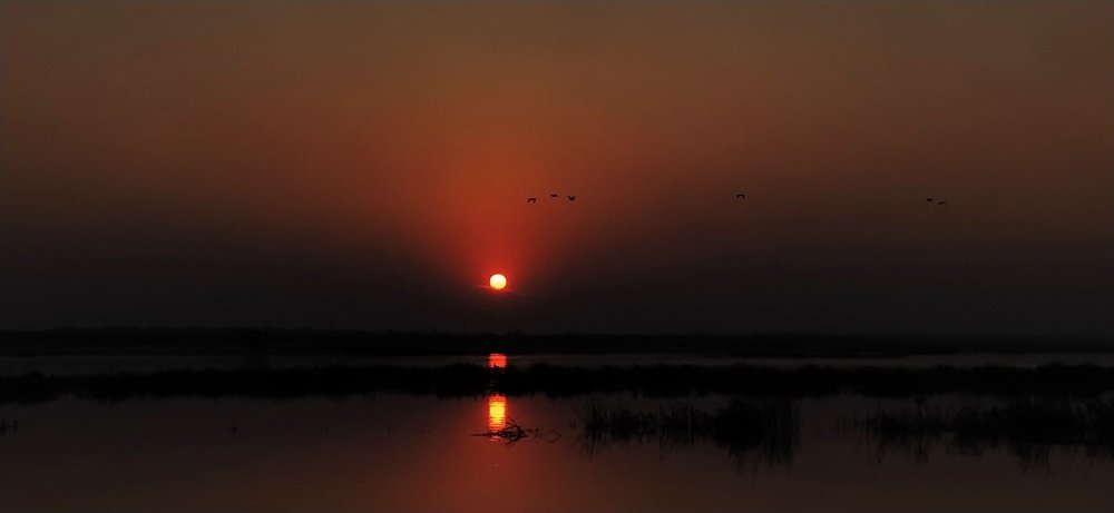 Photograph by CHHOTU DHIBAR