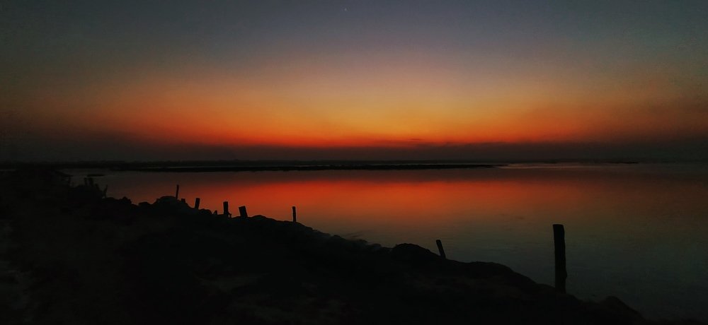 Photograph by CHHOTU DHIBAR