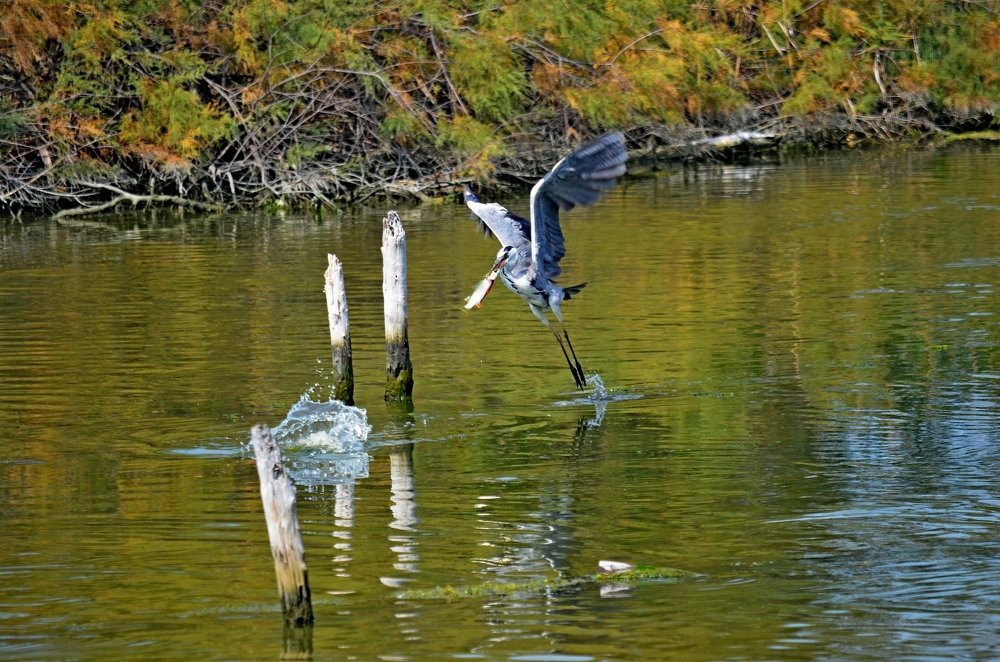 Photograph by Алексей Козлов