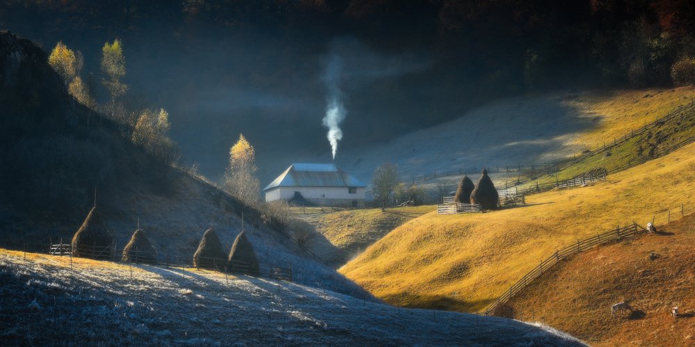Фотография автора Анатолий Гордиенко