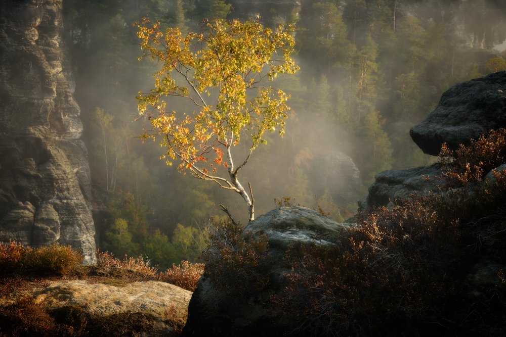 Фотография автора Анатолий Гордиенко