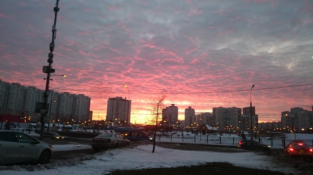 Photo #4091115