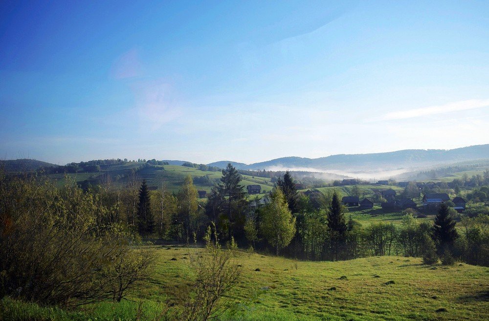 Photograph by Ларионова Татьяна