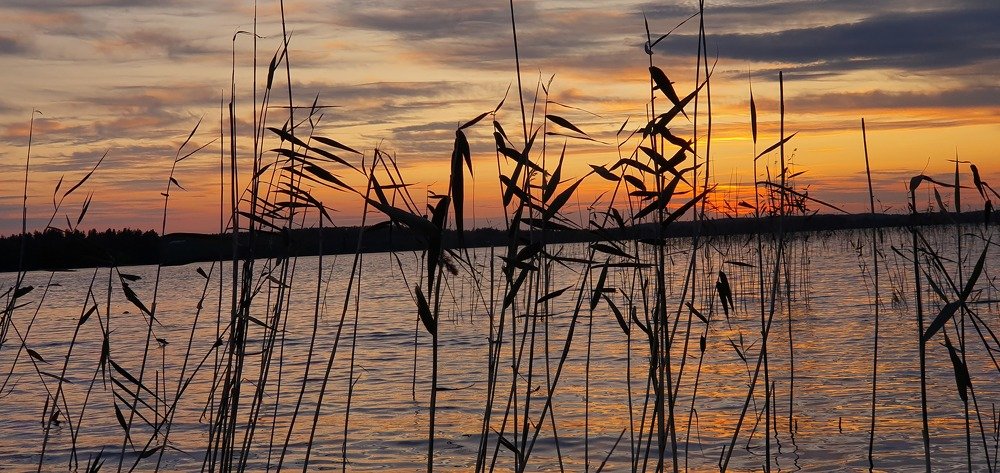 Photograph by Арина Алеевская