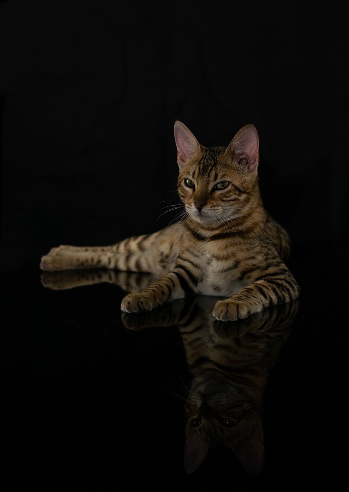 Photograph by Межинский Игорь