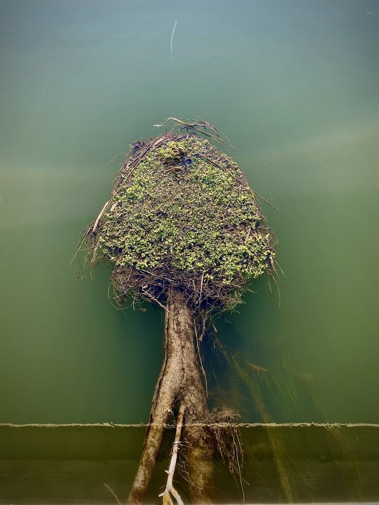 Всепоглощающая Вода