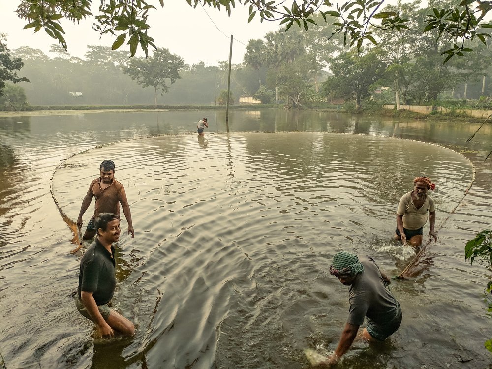 Photograph by Rafsan Siddiquee