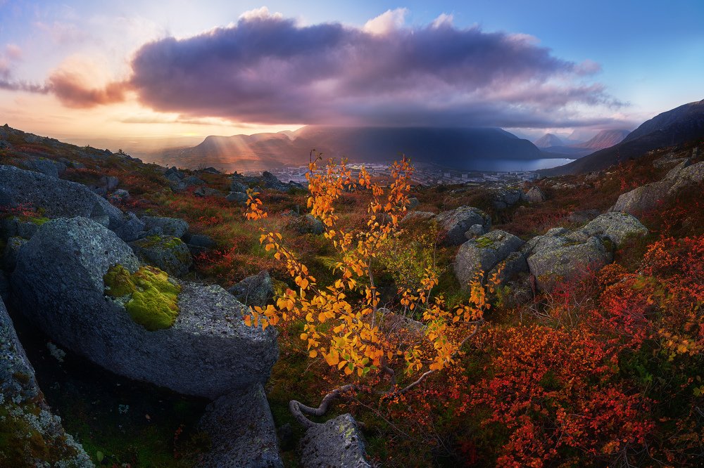 Photograph by Konstantin Voronov