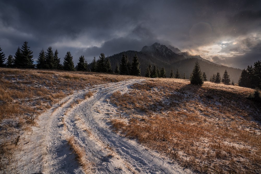 Photograph by Ladislav Szabó