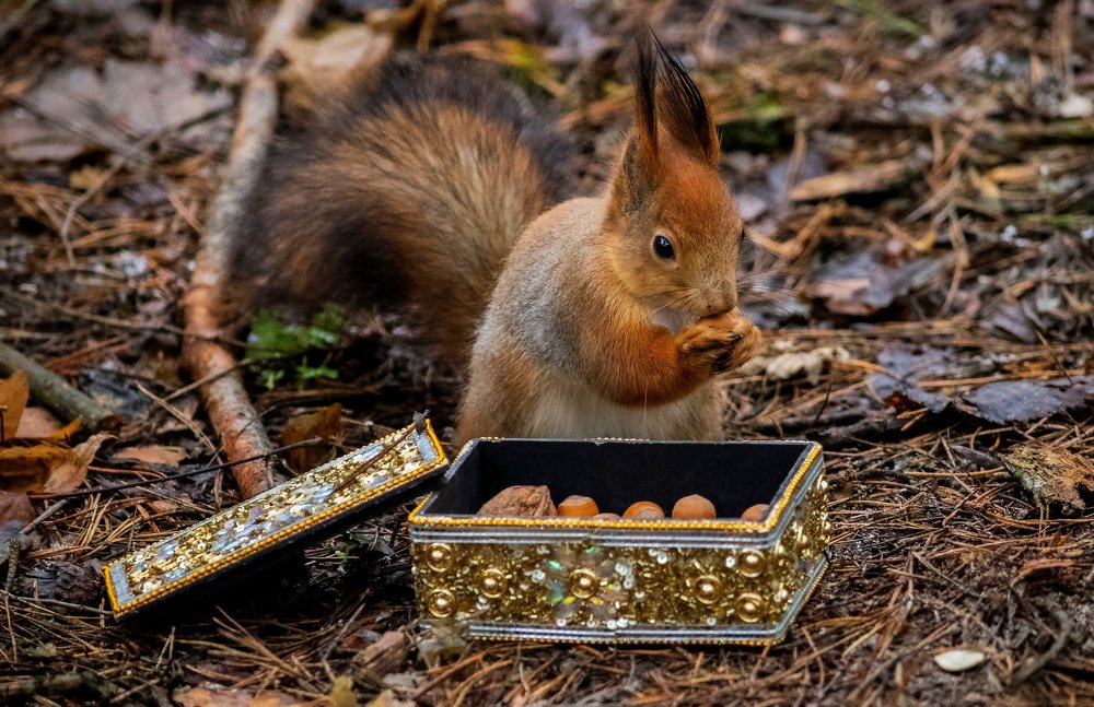 Драгоценности!