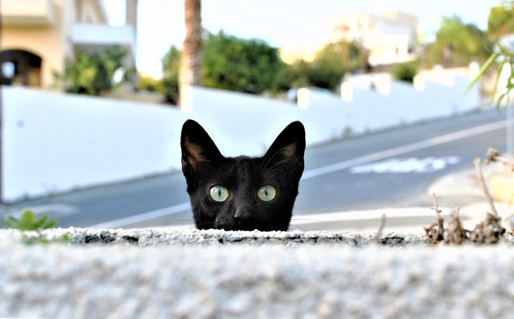 Photograph by Odysseas Christofides