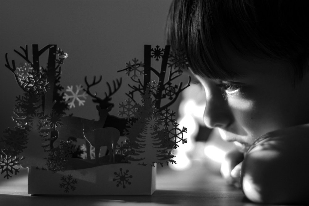 Photograph by Liudmyla Melnyk