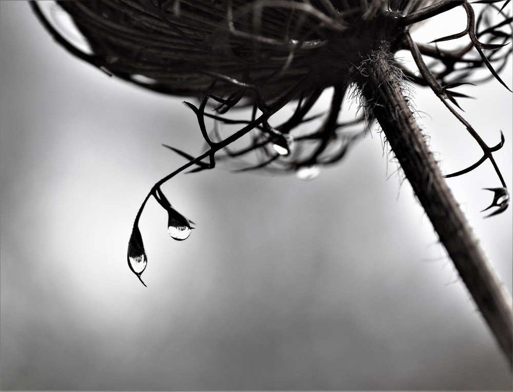 Photograph by Odysseas Christofides