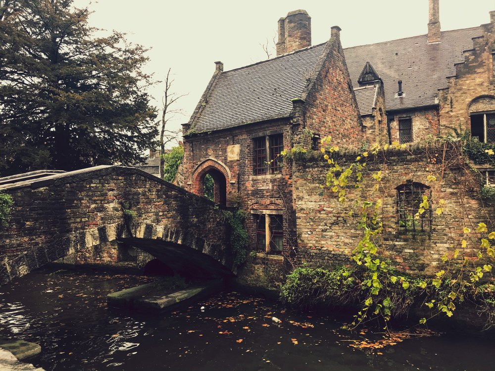 Photograph by Яна Лугинина