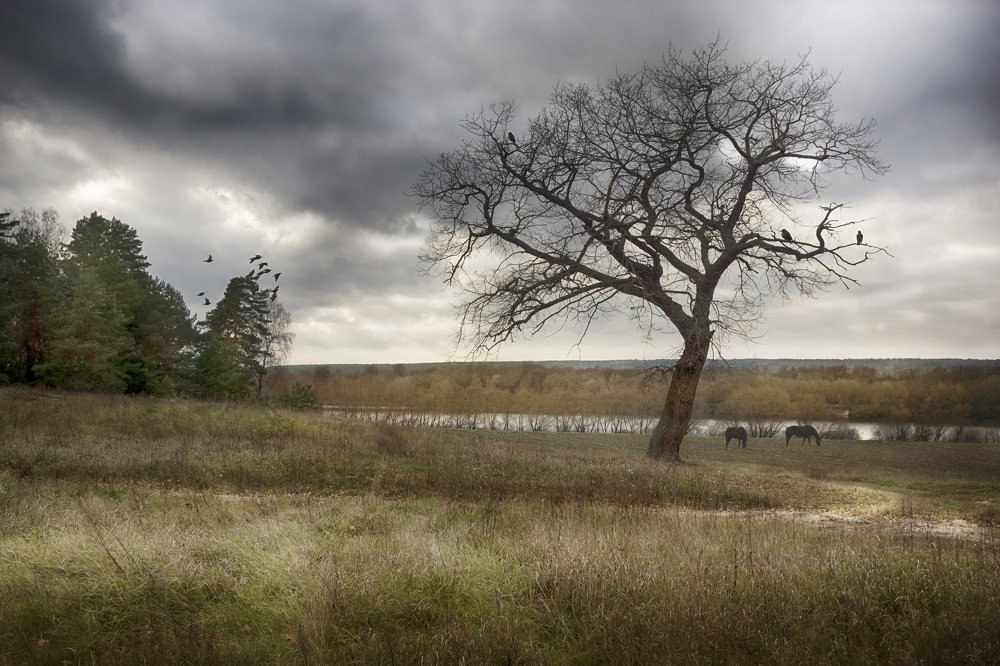 Photograph by Александр Корнейчев