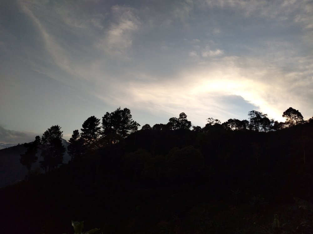 Photo #4091950