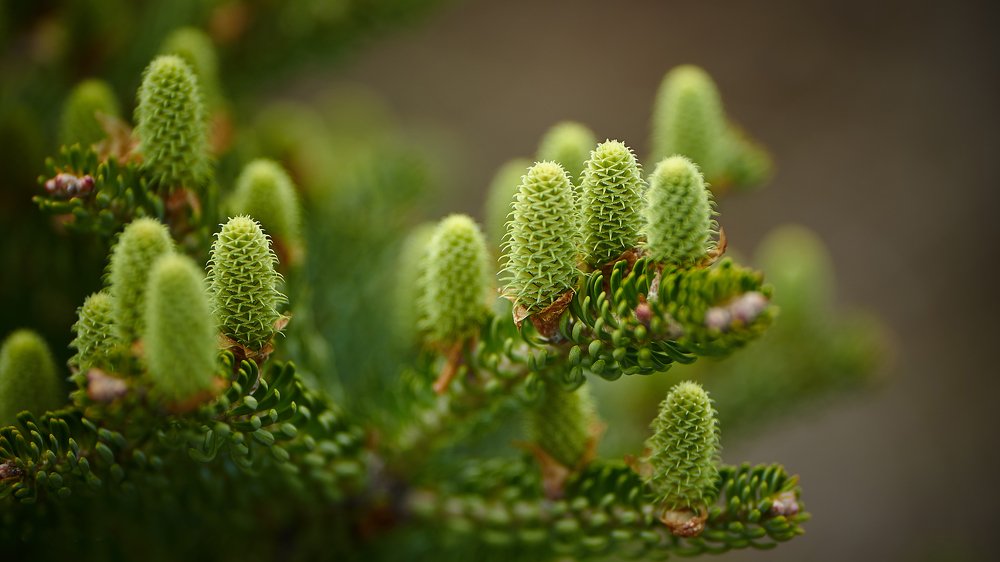 Photograph by Natalia Ghimp