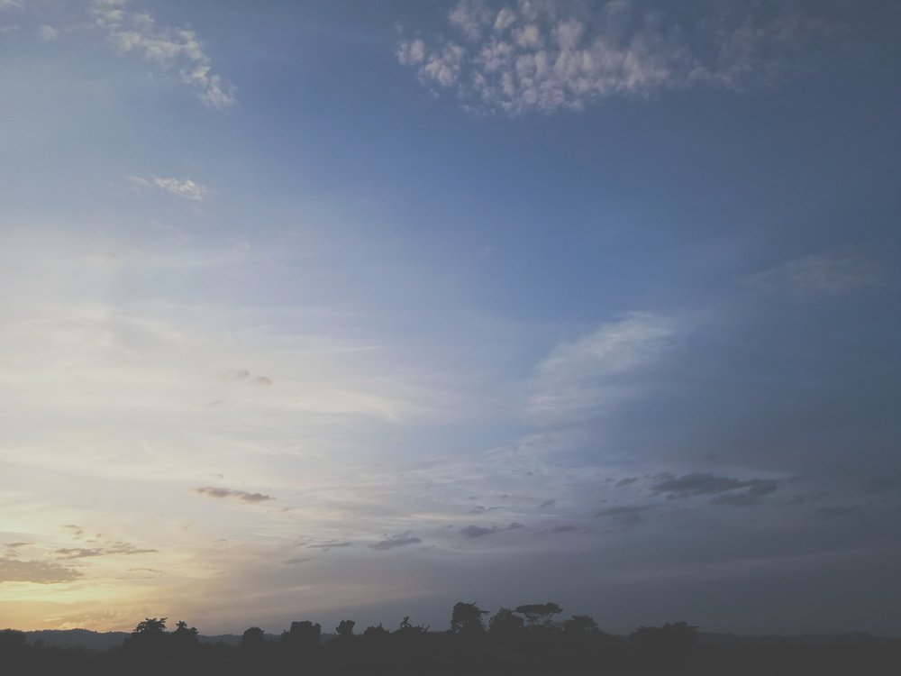 Photo #4092273
