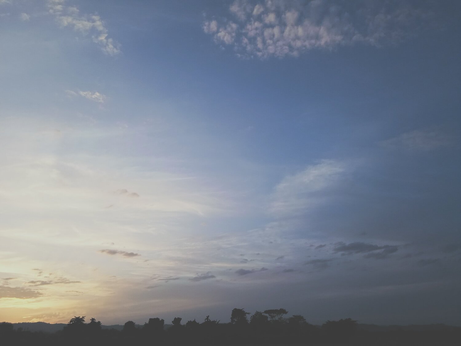 Photo #4092273