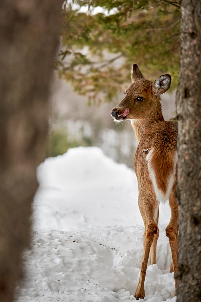 Photograph by Natalia Ghimp